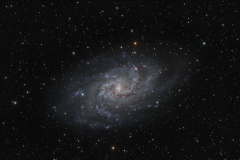 M33