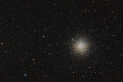 M55