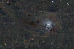 NGC7023