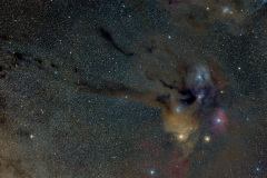 The Rho Ophiuchi Cloud Complex 