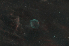 Sh2-308 The Dolphin Head Nebula